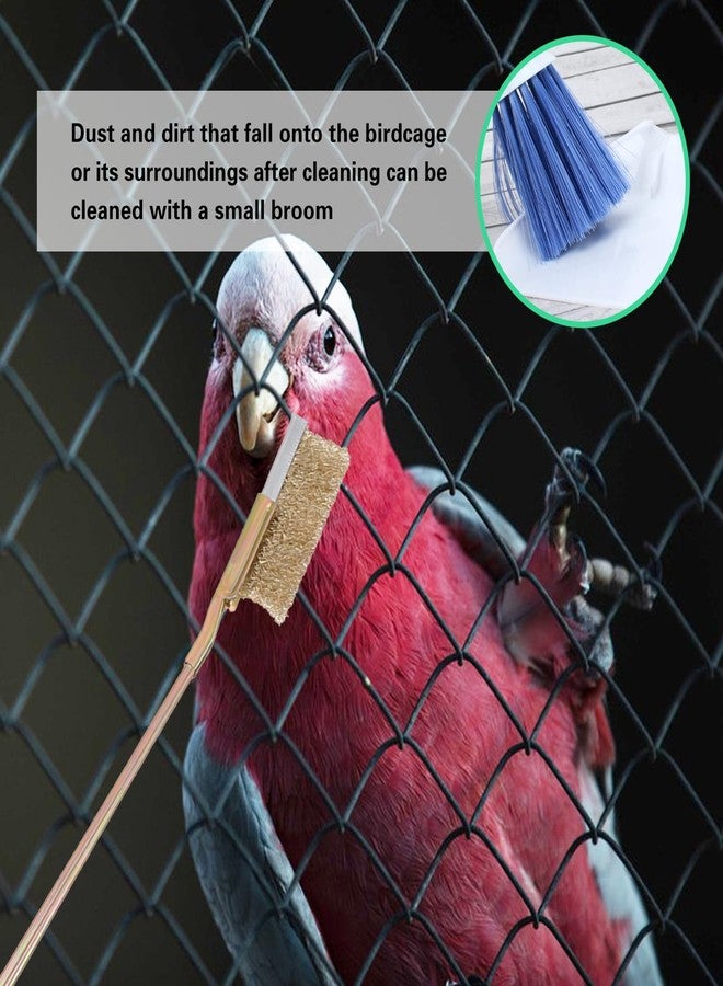 DINTSTYLE 7-Piece Set Bird Cage Cleaner,Small Animal cage Cleaning Tool Wooden and Stainless Steel Cleaning Brush Long Handle Cleaning Brush Spatula Bird Cleaning Bird Drops Multipurpose Cleaning - Image 5